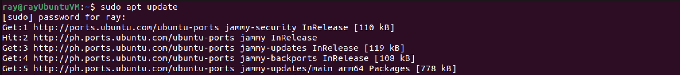 sudo_apt_update